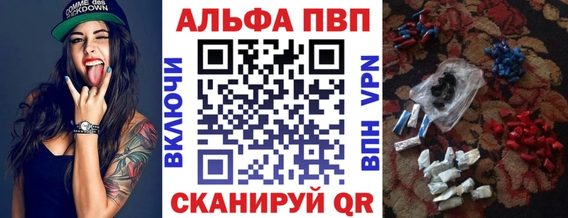 где найти Рошаль A PVP СК КРИС
